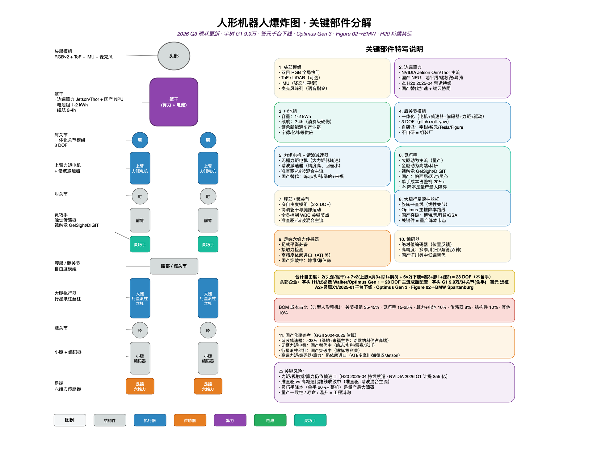 人形机器人爆炸图 · Head / Torso / Joints·Limbs 三大系统 · 50+ DOF